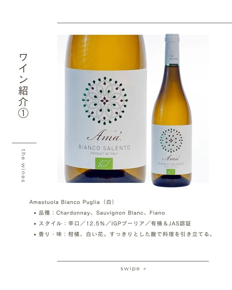 アマ ビアンコ サレント［白］ – 柴田屋酒店 online