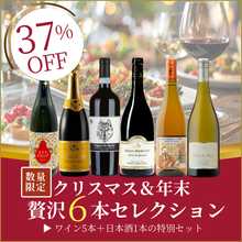 画像をギャラリービューアに読み込む, クリスマス&年末 贅沢6本セレクション