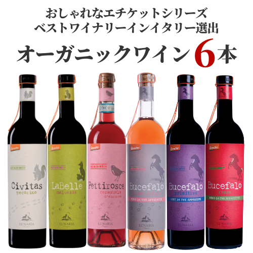 オーガニックワインMIX6本セット – 柴田屋酒店 online