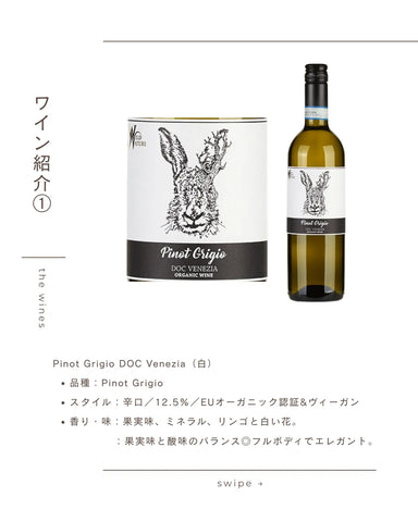 ワイルドネイチャー ピノグリージョ DOC ヴェネツィア ［白］