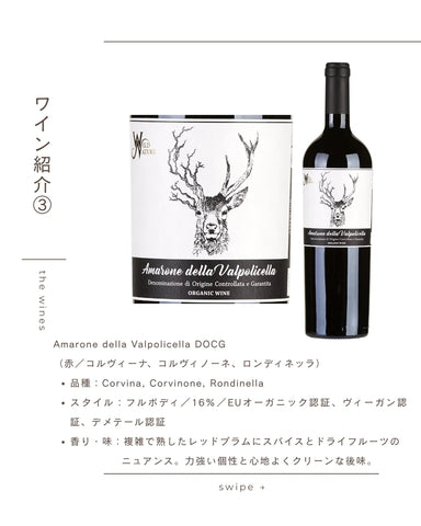 ワイルドネイチャー アマローネ デッラ ヴァルポリチェッラ DOCG  [赤]