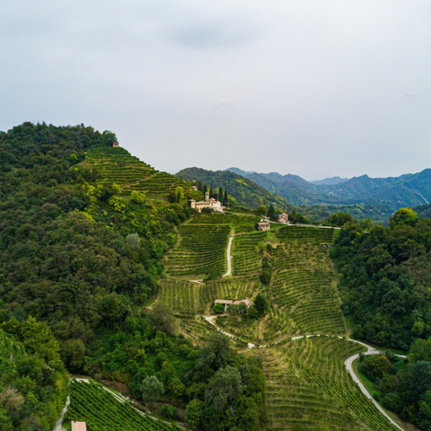 【サクラアワード2026　シルバー受賞】クワトロ エクストラ ドライ［ロゼ］