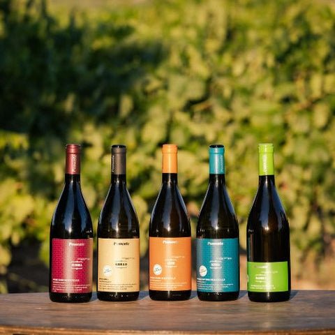 【サクラアワード2026　シルバー受賞】ポッセンテ ネロ・ダーヴォラ［赤］