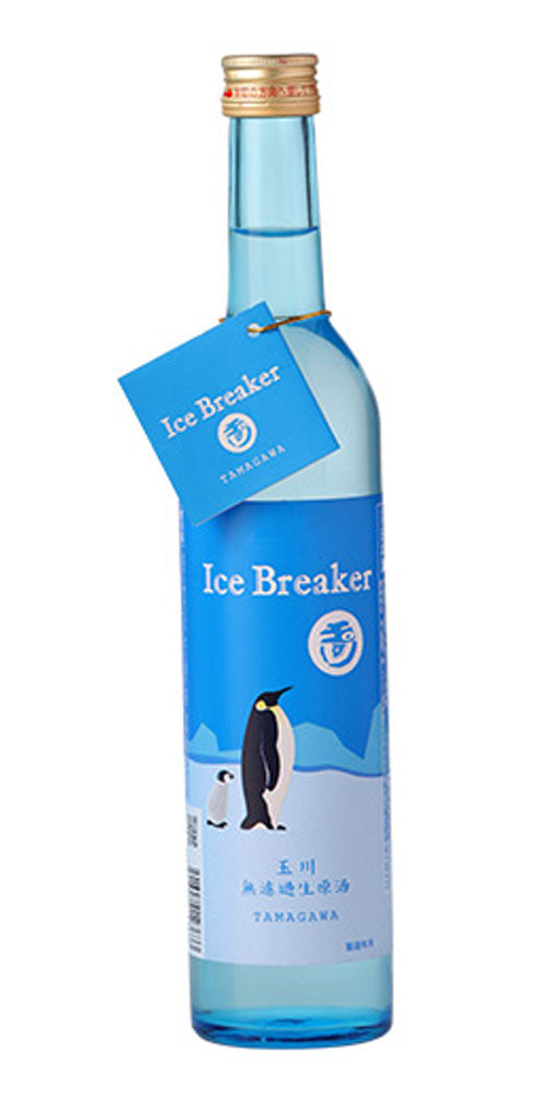 伊賀焼　水指　井村侊生　　#145 伊賀焼 水指 井村侊生 #145 伊賀焼水指井村侊生#145