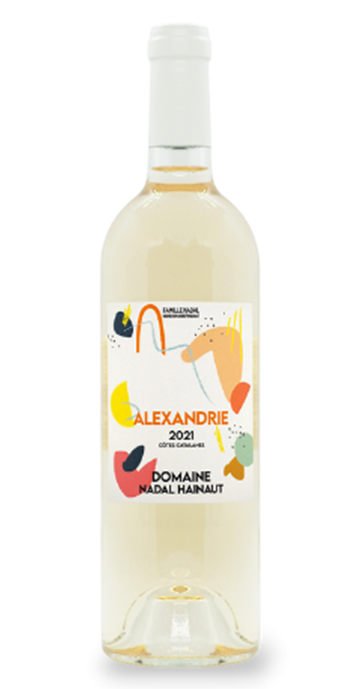 ブラヘア アルマータ N 特白個体 ブラヘア アルマータ N特白個体