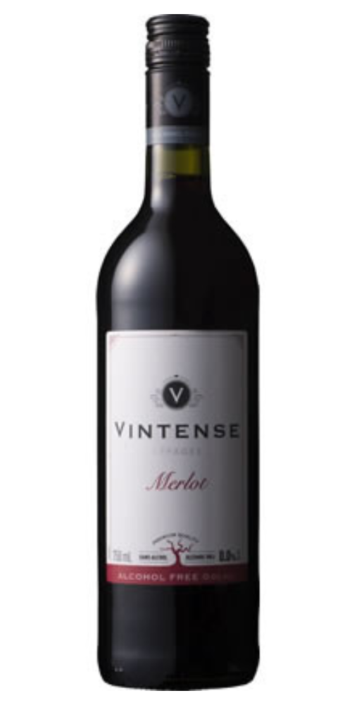 VINIQRUBE メルロー 750ml 日本ワイン 12% IMG_6298.jpg?v=1700800529