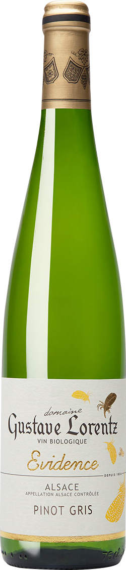 Gustave Lorents｜エヴィダンス ピノグリ ［白］ – 柴田屋酒店 online