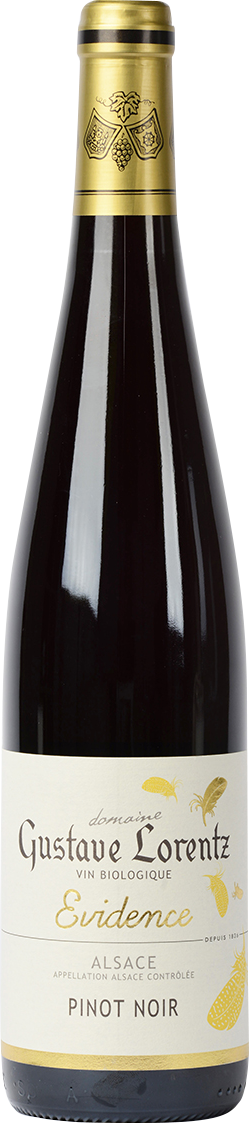 ミエイケノ ピノ·ノワール 2017 Mie Ikeno Pinot Noir 2017 【公式通販】 ミエイケノ ピノ·ノワール 2017 Mie Ikeno Pinot Noir 2017 【公式通販】